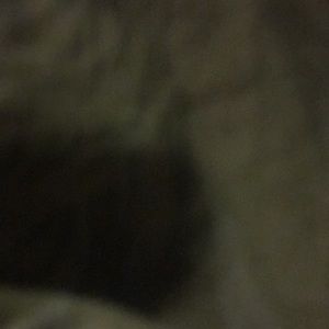 Meet your Posher, Chaz